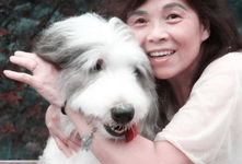 狗日女人视频,揭示人性阴暗面的惊悚之作