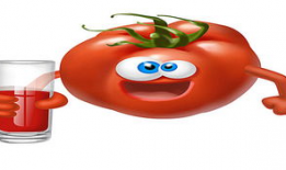 番茄动漫,描绘青春梦想的彩色画卷